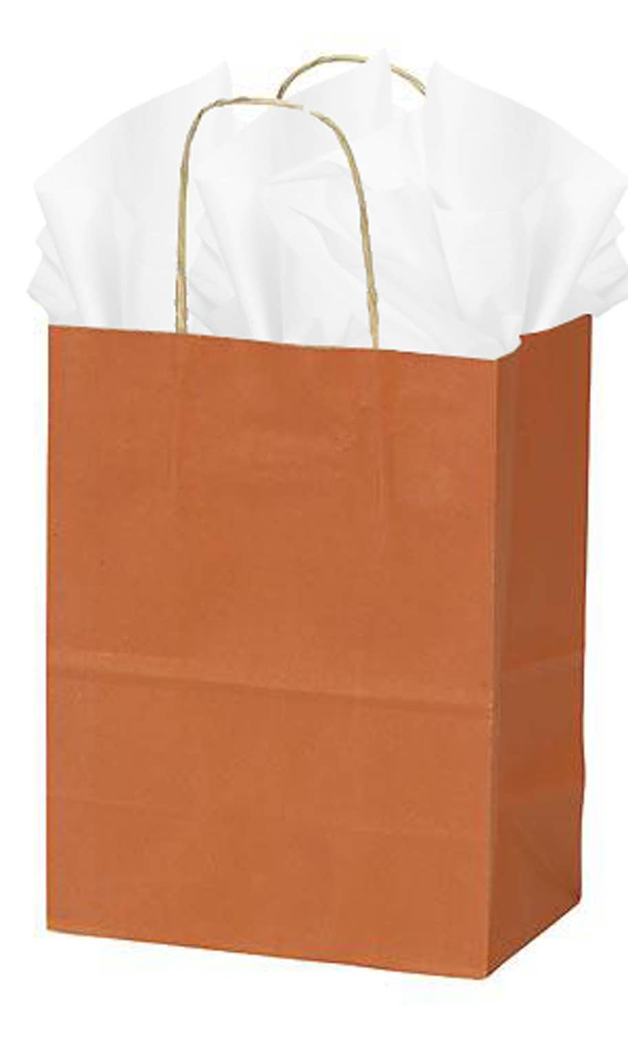 Store Supply Warehouse - Wholesale Gift Bag - Colorful Kraft Paper Shopping Bags0