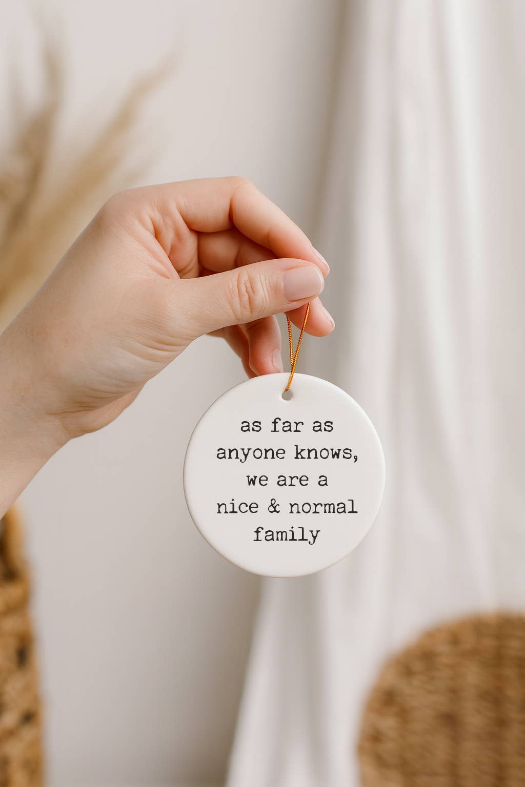 521handmade - Wholesale Ornament - Funny "Nice Normal Family" Christmas Ornament4