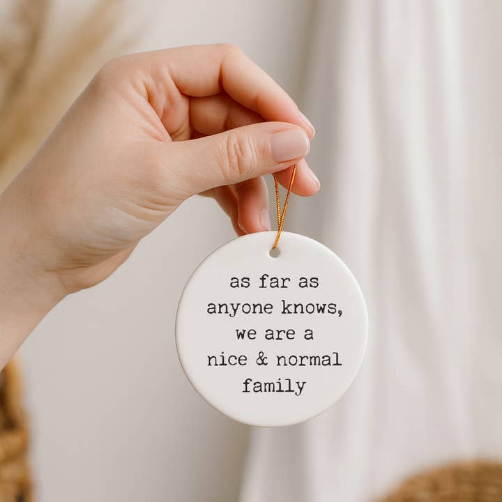 521handmade - Wholesale Ornament - Funny "Nice Normal Family" Christmas Ornament4