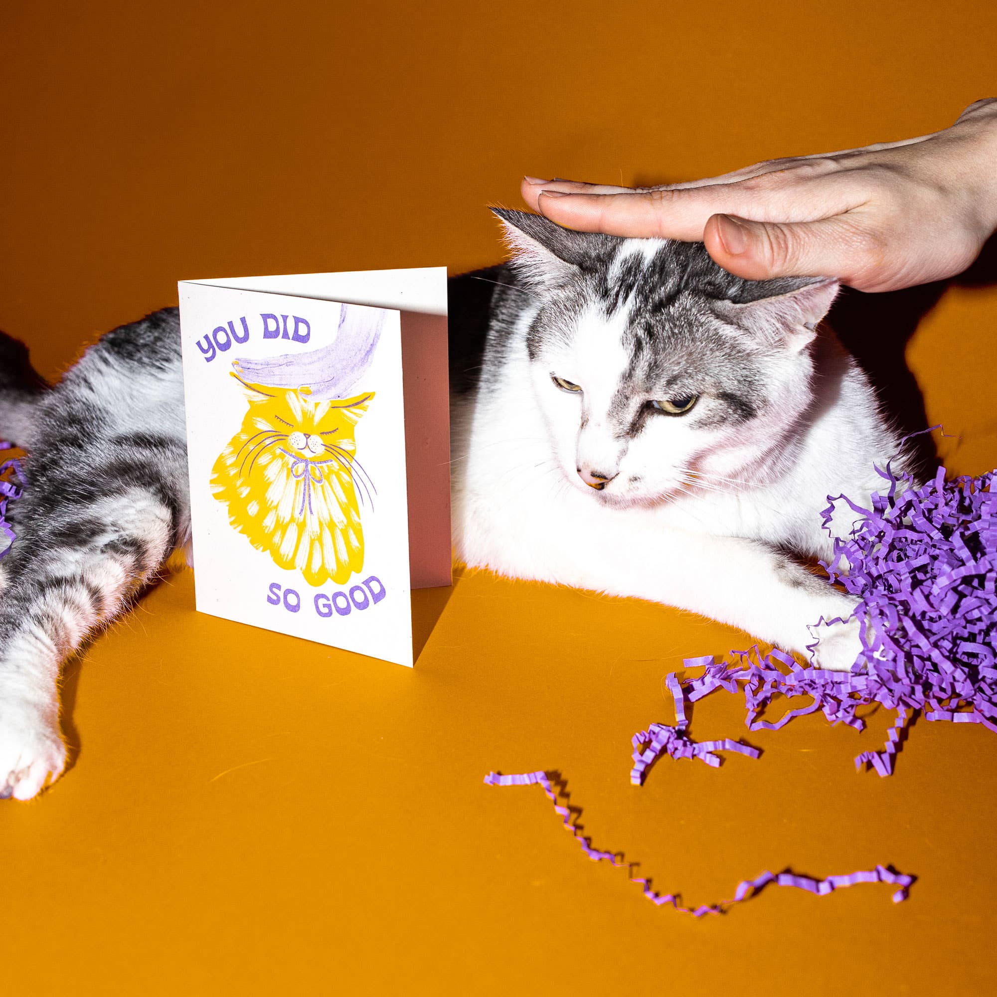 Bromstad Printing Co. - Wholesale Congratulations Card - You Did So Good Cat - Risograph Card1