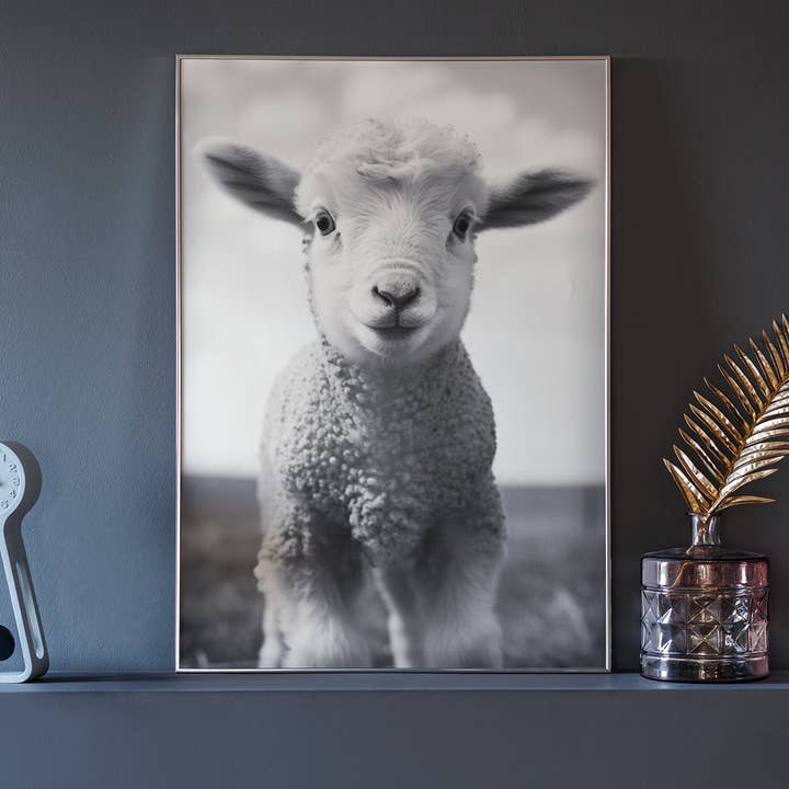 carta bianca Poster con agnello - foto vintage in bianco e nero in vendita all'ingrosso su Faire1