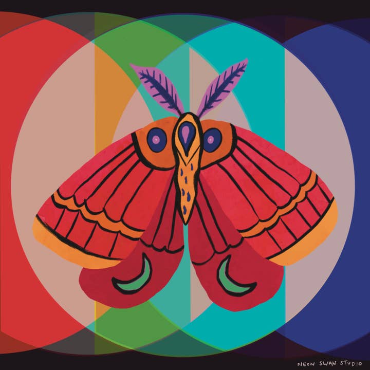 Chromatic Moth Giclée Art Print for wholesale by Neon Swan Studio LLC