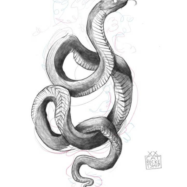 Cat Rocketship - Vente Affiche d'art - Spirit Snake Print - impression 5x7, impression 8x10