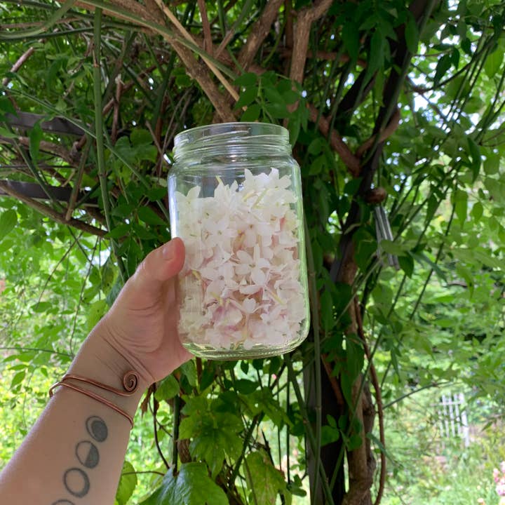 Maschera Viso al Miele di Gelsomino - edizione limitata per la vendita all'ingrosso da parte di Black Creek Botanicals