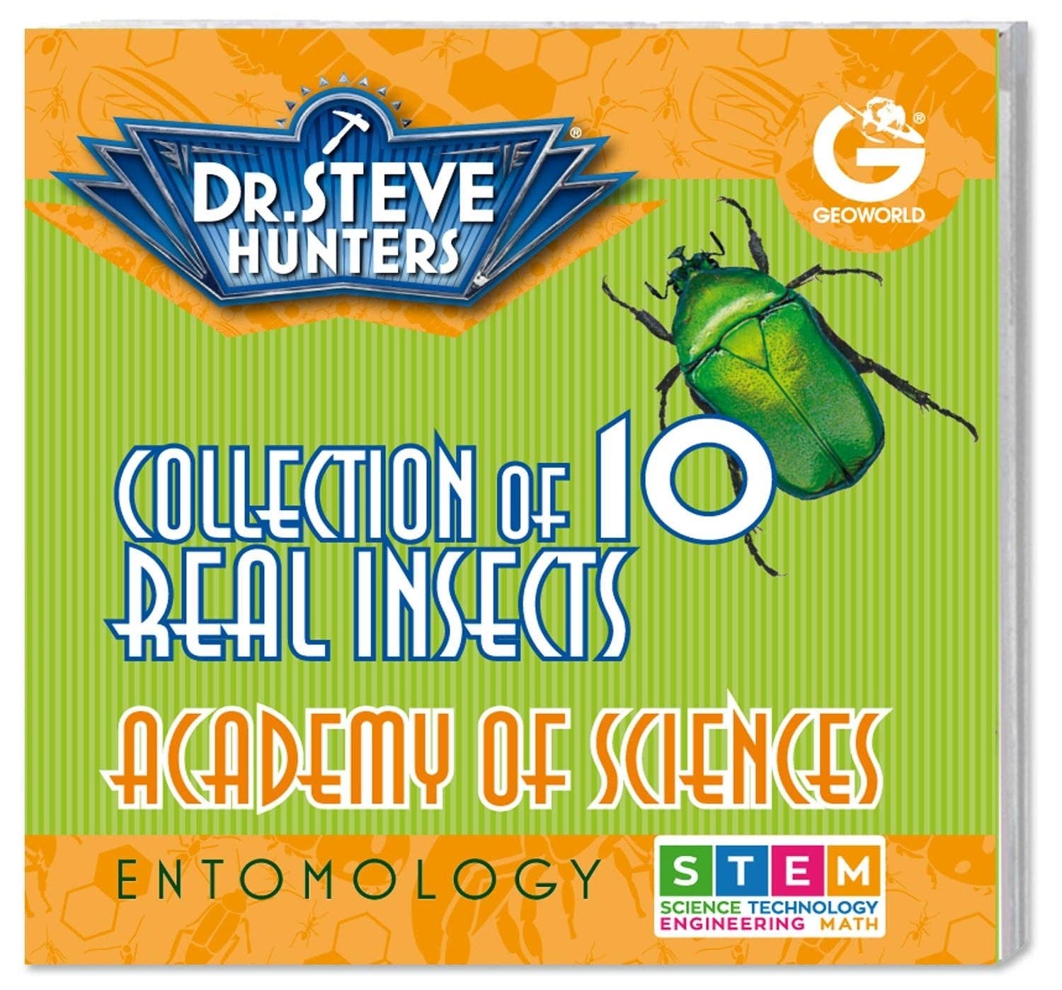 Safari Ltd. - Wholesale Toy Set - Kids - Dr. Steve Hunters Bug World Collection - 10 Real Insects Science & Education Toy Set1