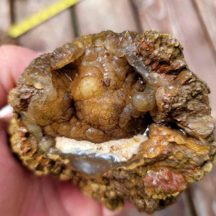 Old Stock C Grade Oregon Thundereggs Rough! Lapidary Wholesale! for wholesale by Lapidary Central