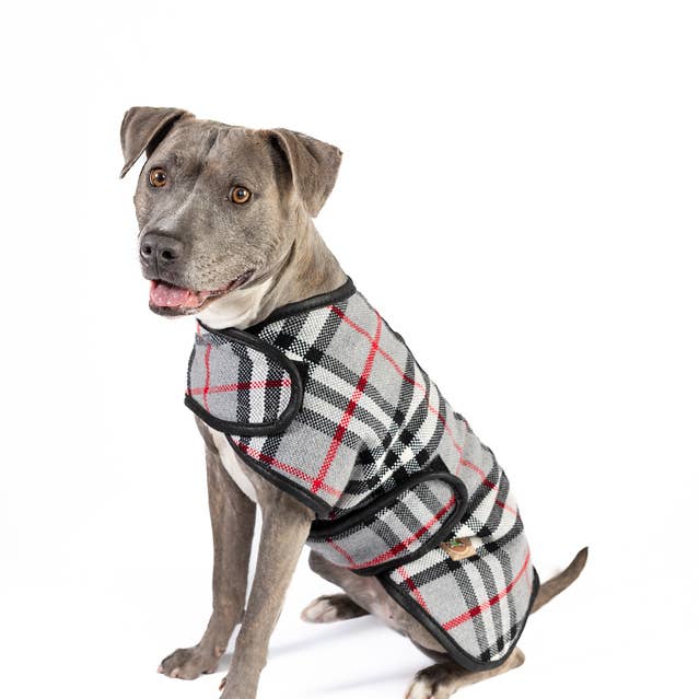 Steel Tartan Plaid Dog Coat for wholesale by CHILLY DOG LLC