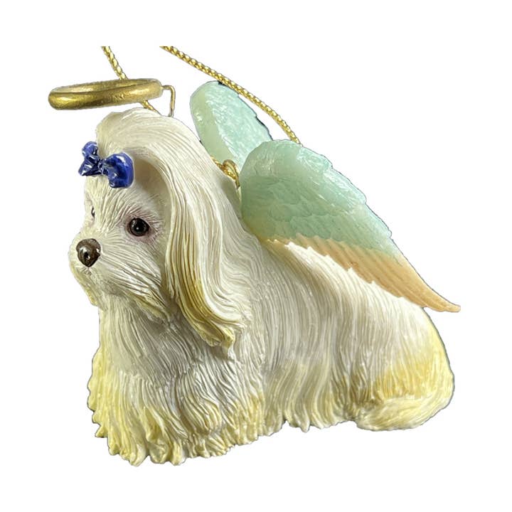 Maltese engelenhond voor wholesale door Natures Window