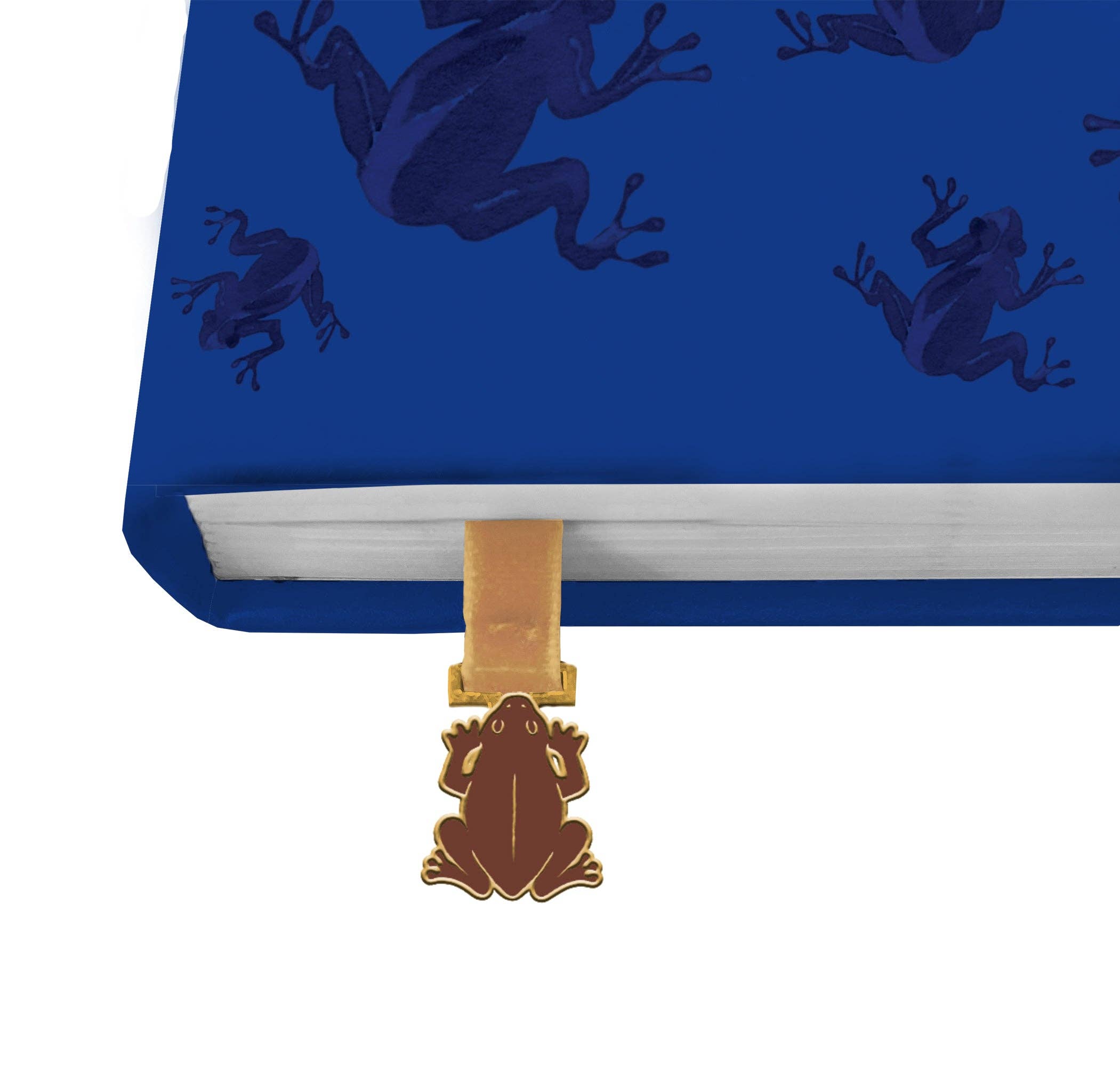 Insight Editions - #1 Pop Culture Publisher - Wholesale Journal/Diary - Harry Potter: Chocolate Frog Journal with Ribbon Charm 1