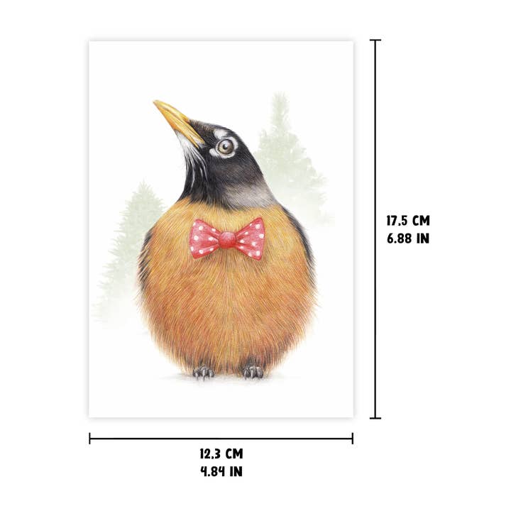 Beast of Paradise – wholesale Christmas card – Robin Christmas Card, Animal Greeting Card, Bird Cards2