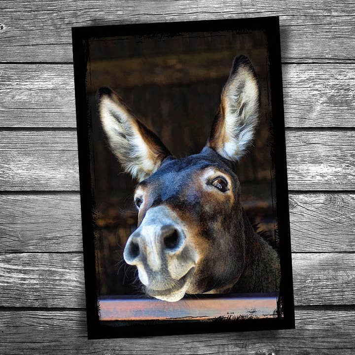 Christopher Arndt Postcard Co. - Wholesale Postcard - Donkey Postcard