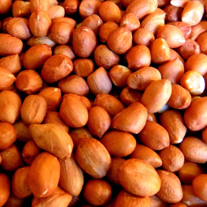 The Nut Garden, Sweetables, Utah Truffles – wholesale Nuts – Peanuts, Spanish Raw (12 oz)
