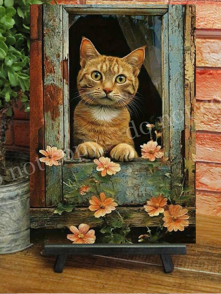 Cute Cat in Old Window Flat Metal Sign 8x12 for wholesale by Bad Bunny Designs