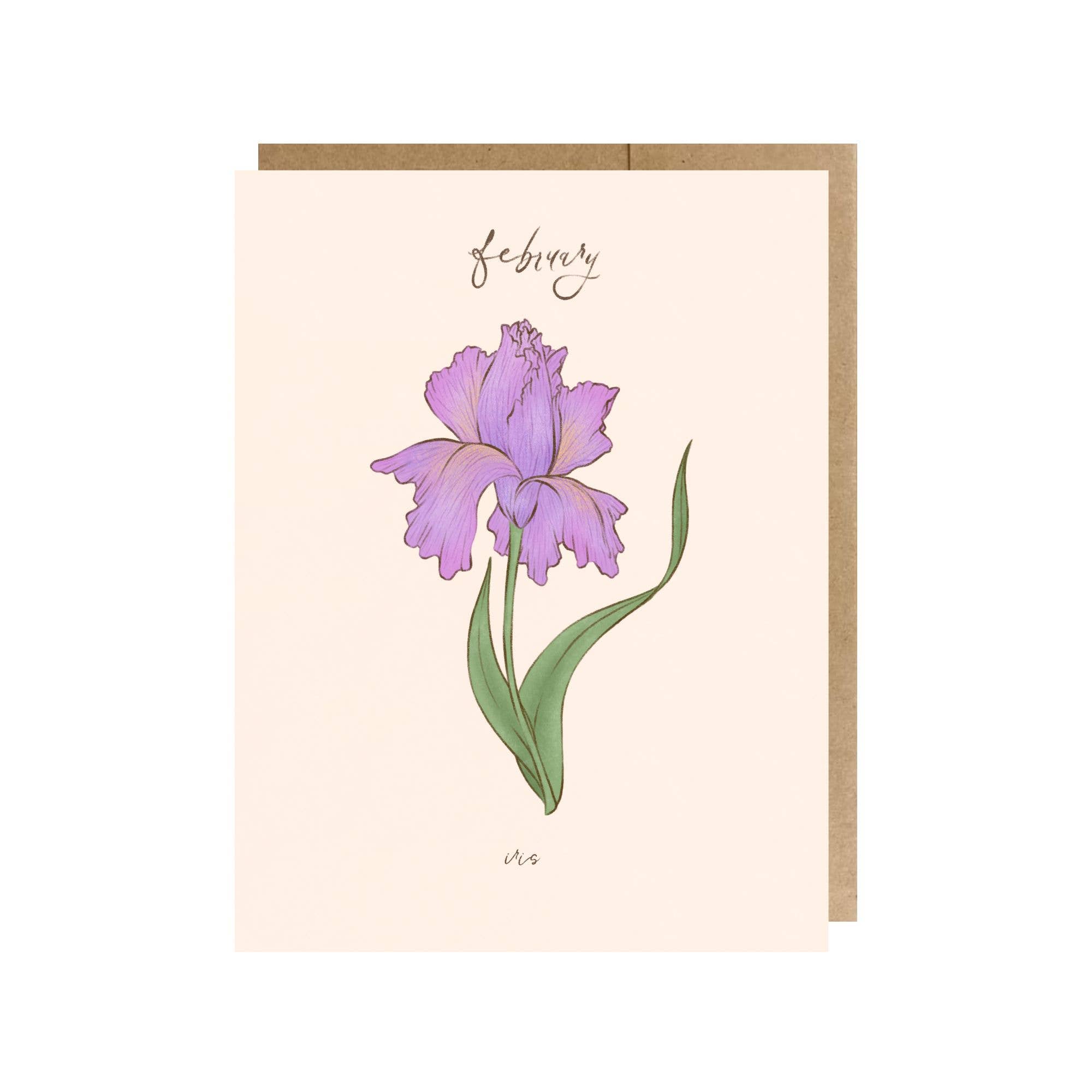 The Paper Narwhal - Wholesale Verjaardagskaartje - Geboortemaand februari Bloem (Iris) wenskaart0