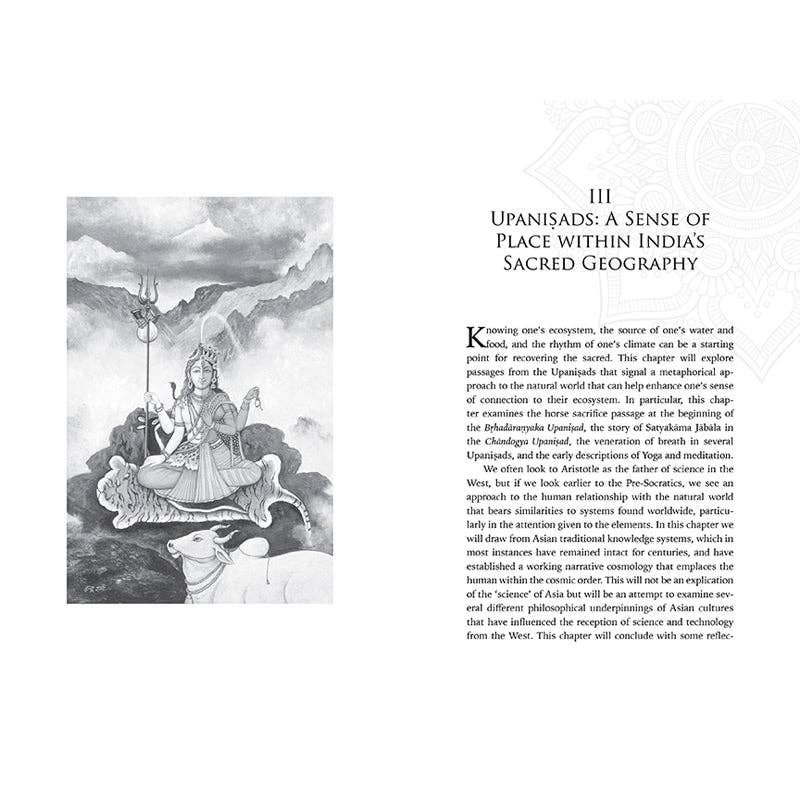 Insight Editions - #1 Pop Culture Publisher - Wholesale Religion Book - Embodied Ecology4