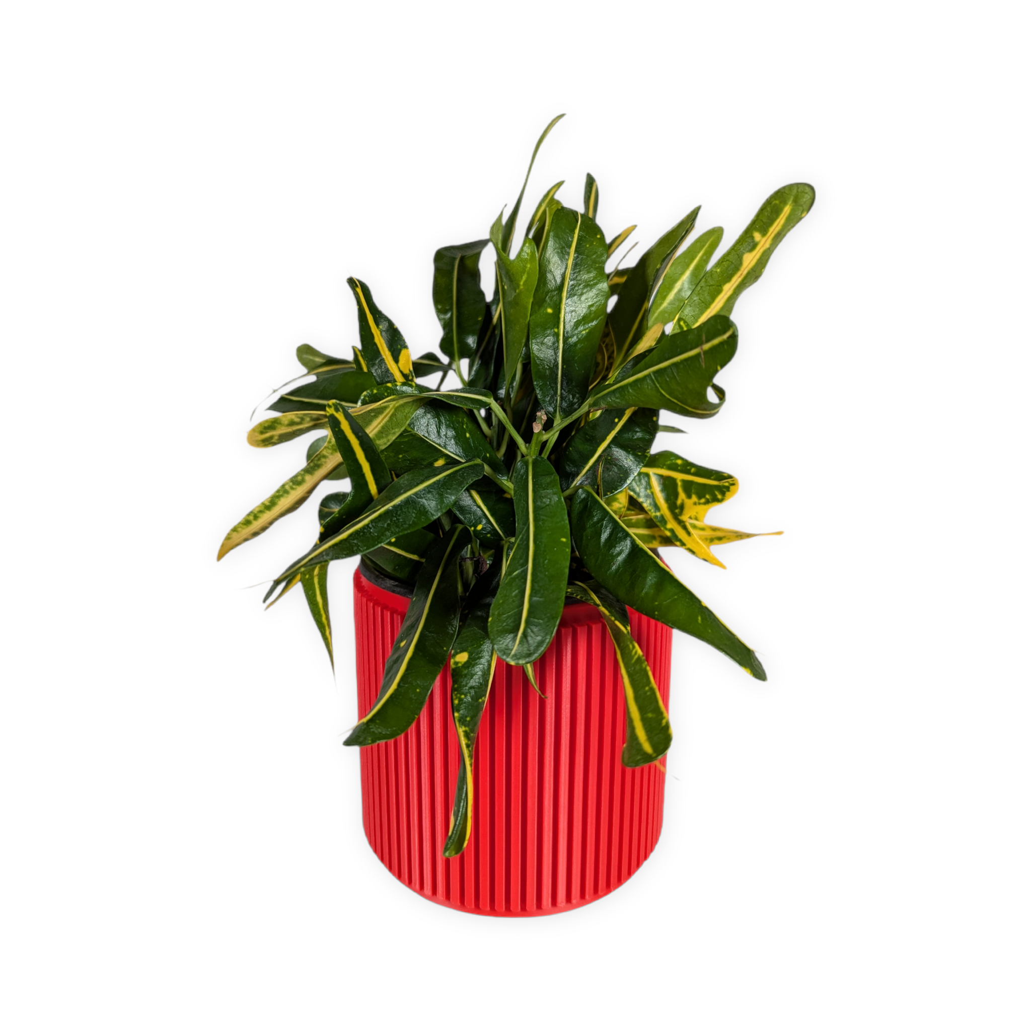 Leafprints.3d - Wholesale Plant Pot - The Willow – 4 Inch Cover Pot (No Drainage)5