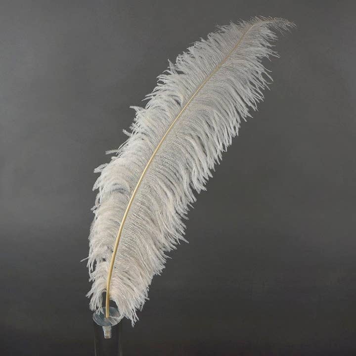 Large Ostrich Feathers - 18-24" Spads - Ivory for wholesale by Zucker Feather Products
