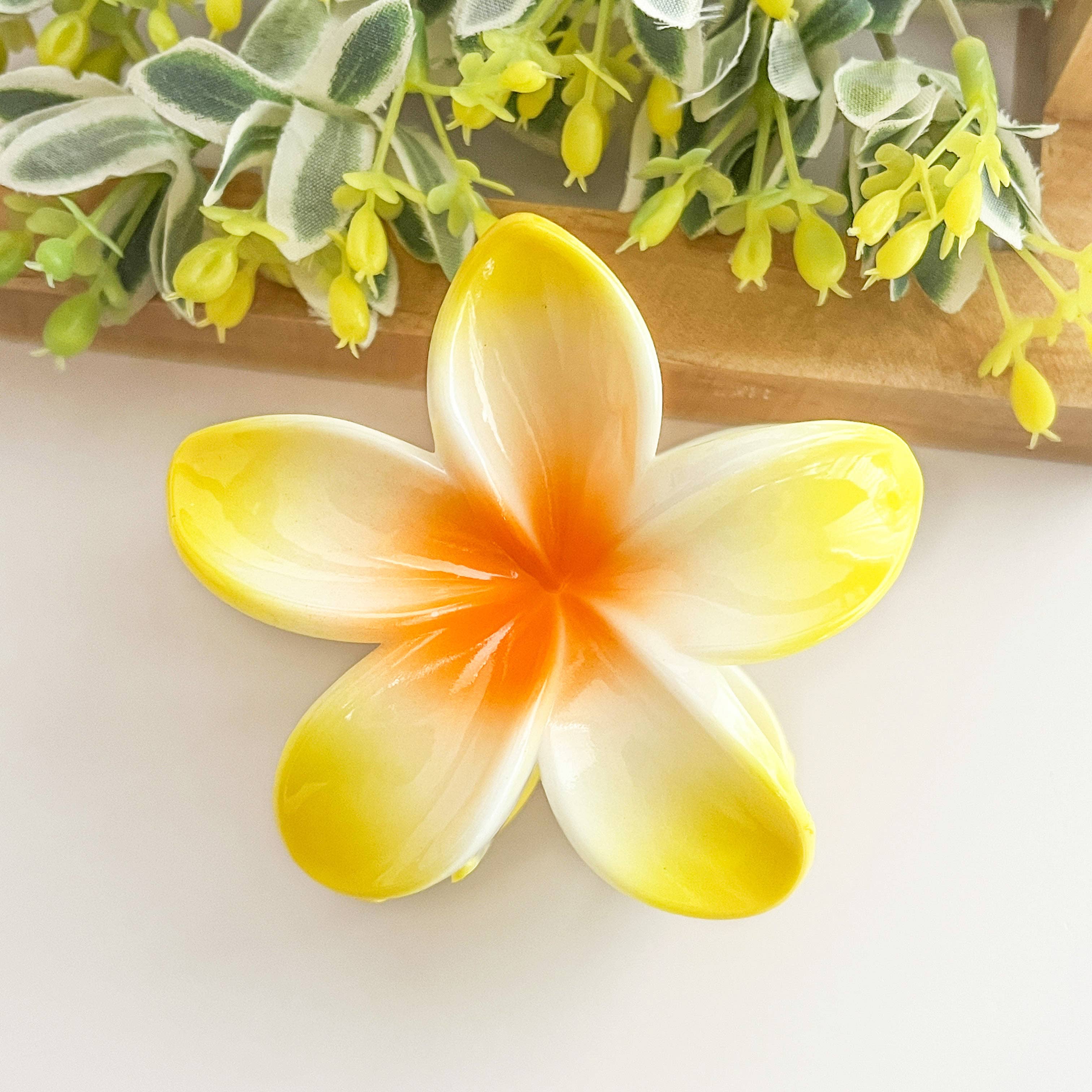 SoapElenGlen - Wholesale Hair Clip - Women's - Colorful plumeria hair Clip4