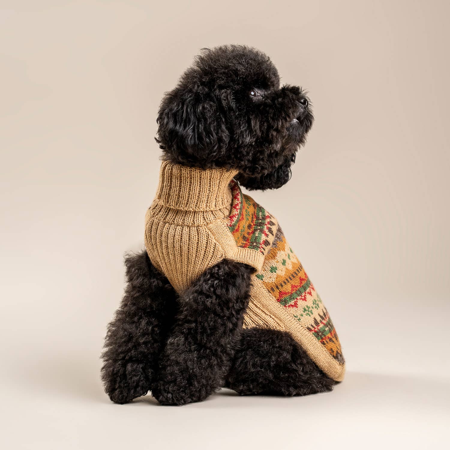 Alqo Wasi - Wholesale Pet Sweater - Dog - Fair Isle Finn Alpaca Dog Sweater5