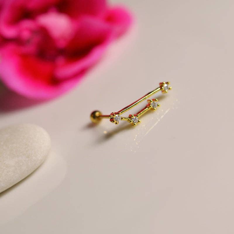 StockJWL - Wholesale Stud/Post Earrings - 12 Zodiac Earrings, Constellation Stud Earring Stud Piercing Tragus Helix Lobe and Cartilage Silver And Gold5