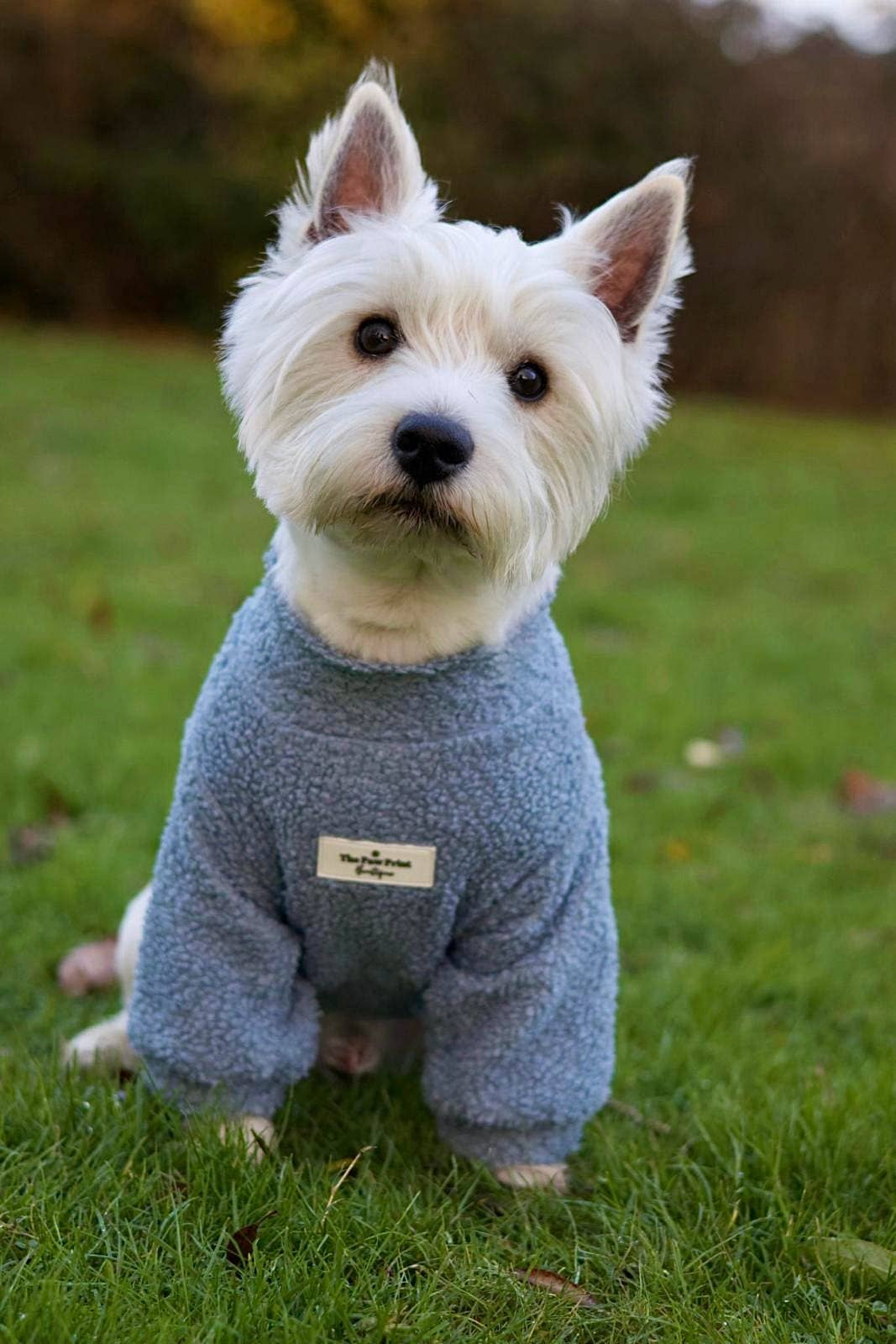 The Paw Print Boutique – wholesale Pet jumper – Dog – Teddy Fleece - Dusky Blue12