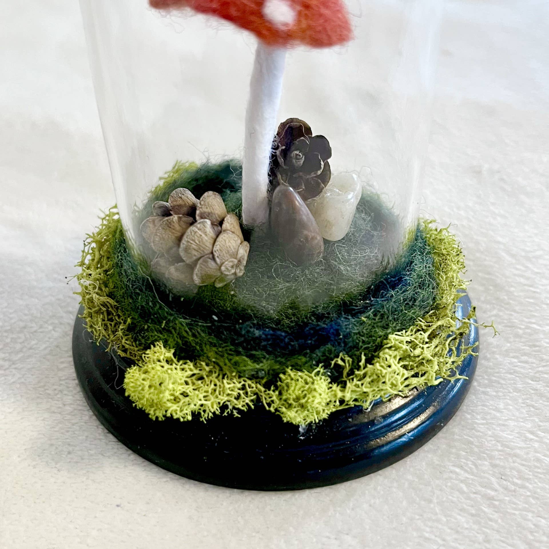 MJ and Me - Vendita all'ingrosso Decorazioni da tavolo - Cloche per terrario Forest Floor2