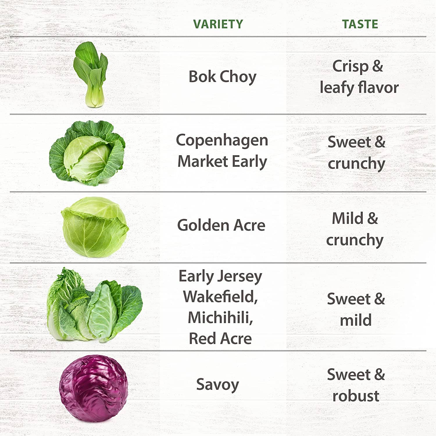 Homegrown Garden - Wholesale Plant Seeds - Non-GMO Vegetable Seeds - 7 Varieties Cabbage Seeds6