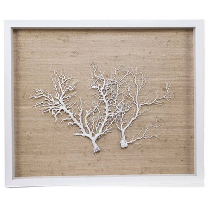 Sealife Shadow Box - Naturel/Wit voor wholesale door Jamie Dietrich Designs