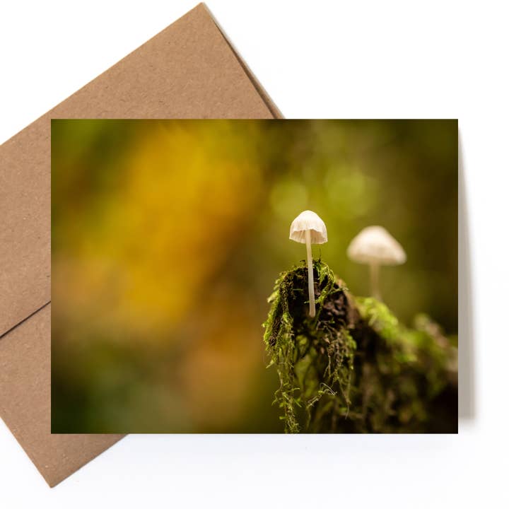 Carte de vœux photo nature "Fantôme" pour la vente par Andrea Morris Art