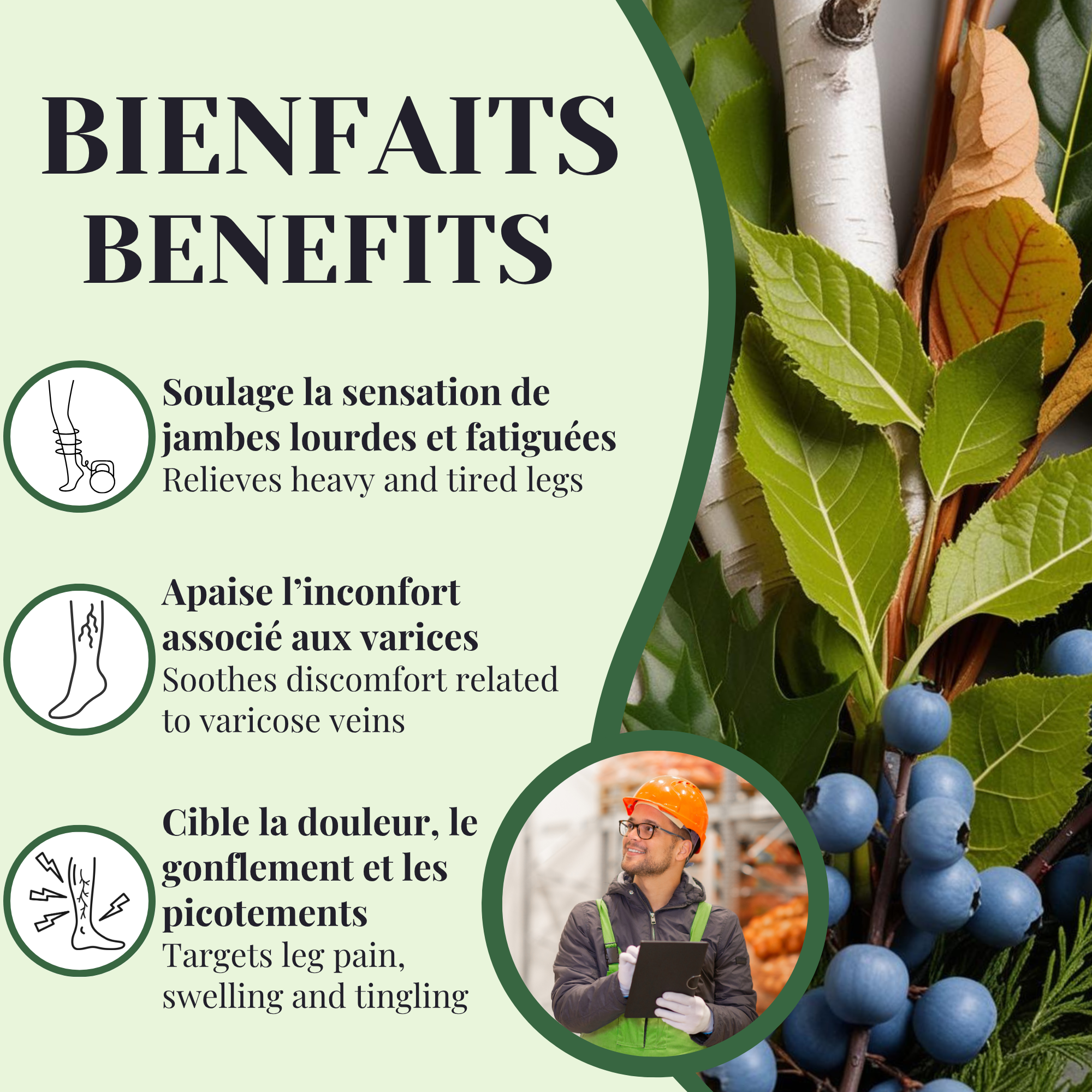 REMOVED BRAND - Wholesale Health/Detox Tea - Morning - Thigh & Leg | 25 Sachets1