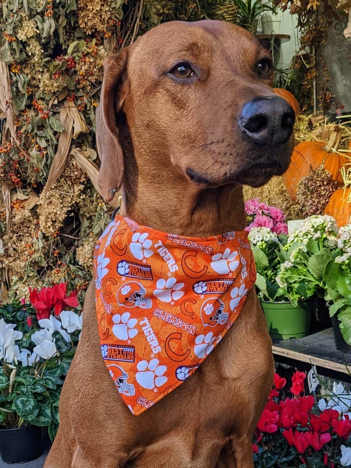 Auburn Tigers Bow Tie - College Collection for wholesale by Koa's Ruff Life