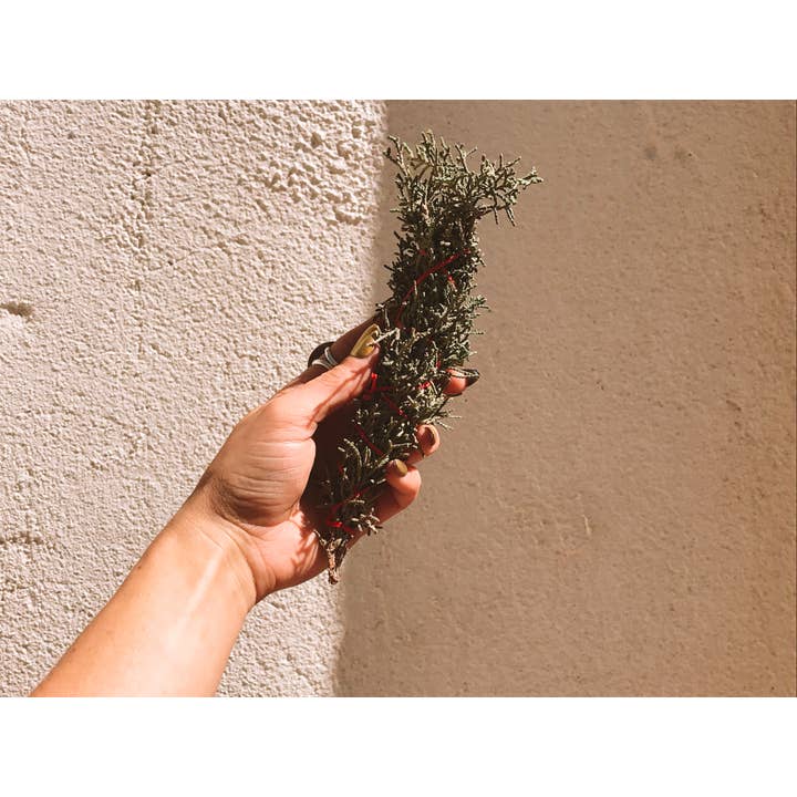 Eastern Red Cedar Burning Bundle for wholesale by Ocotillo Botánica
