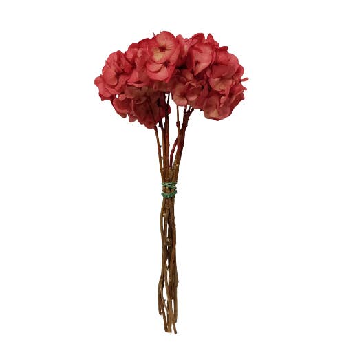 Concari.flores Preservadas - Wholesale Artificial Flowers - PRESERVED HYDRANGEA FLOWER WITH LONG STEM1