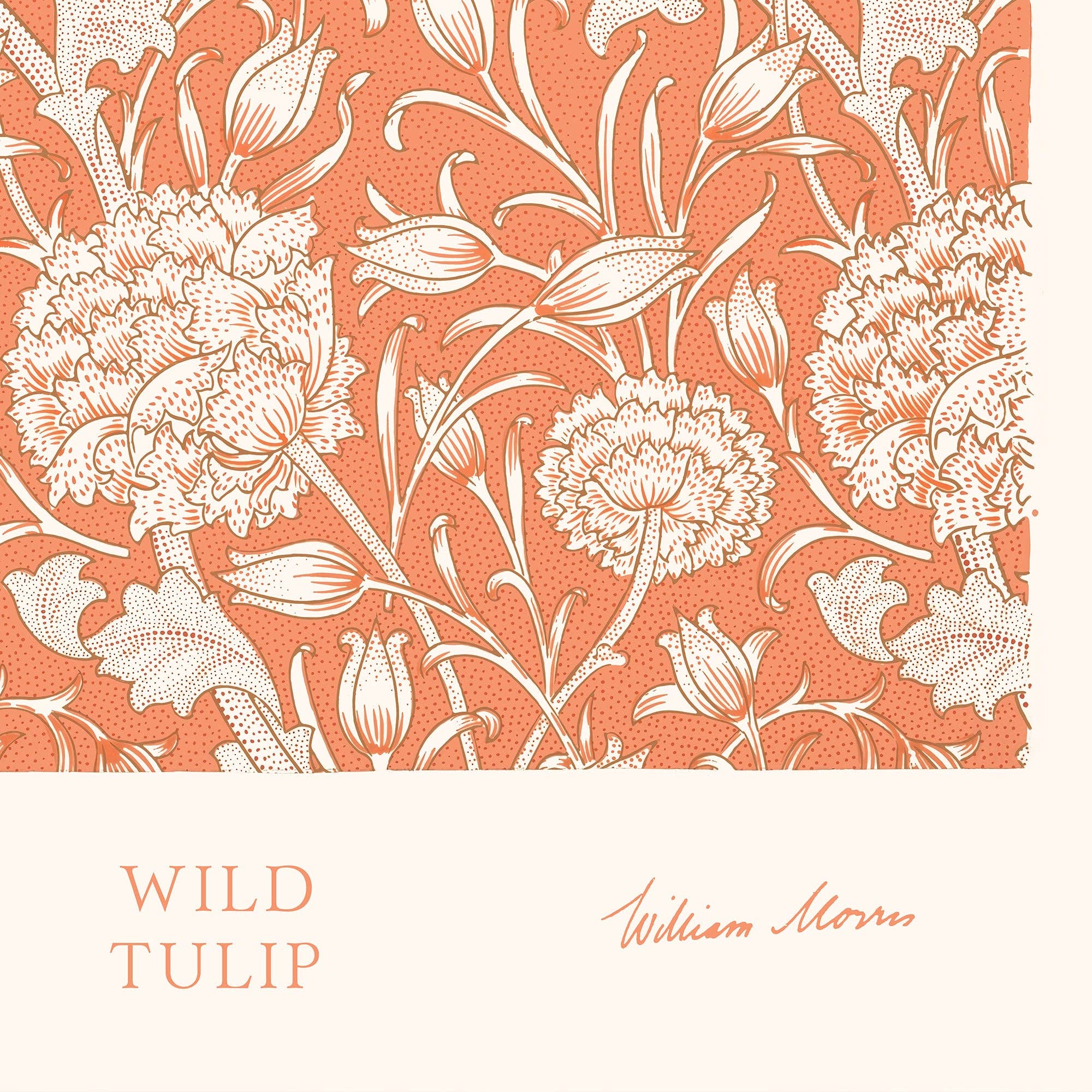 Aster Edition - Vente Poster - Affiche : Wild Tulip - William Morris3