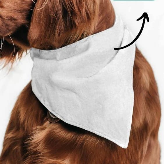 Lotes de bandanas personalizadas para perros, etiqueta blanca para venta al por mayor de Stylidog