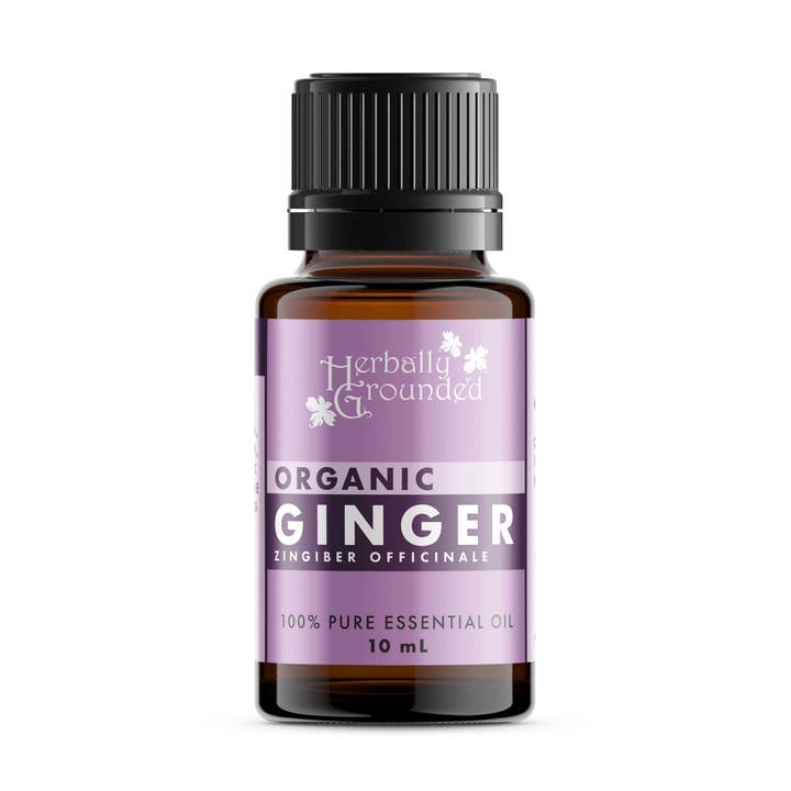 ZENZERO, OLIO ESSENZIALE BIOLOGICO per la vendita all'ingrosso da parte di Herbally Grounded