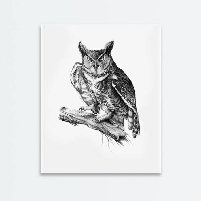 Stor Hornede Ugle Print for engroshandel hos Amanda Surveski Wildlife Art