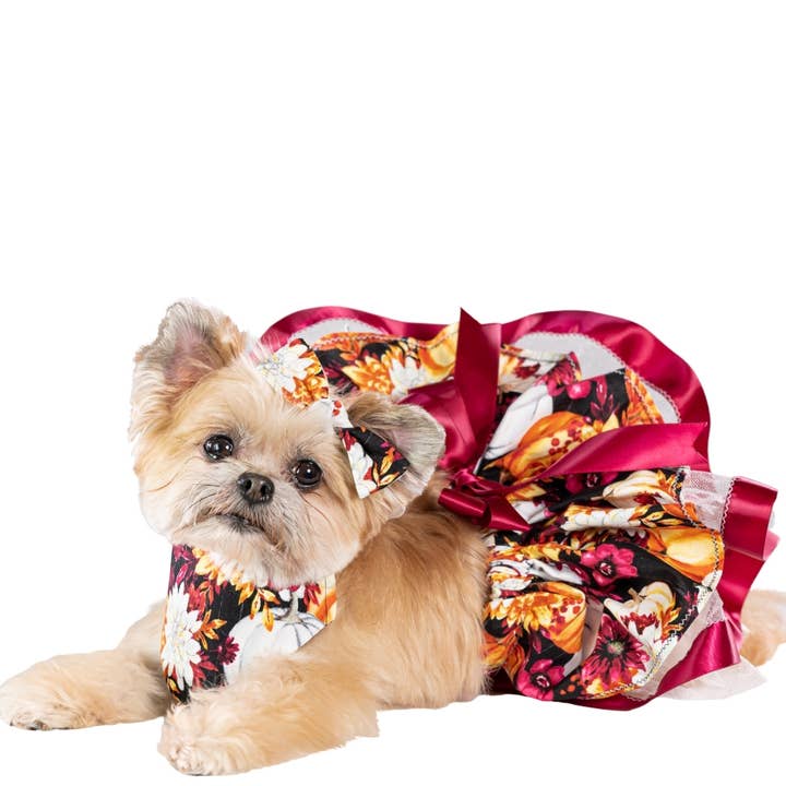 Floral Pumpkin Harvest Pet Bandana, Tutu, and Bow for wholesale by Pawsta N Furballs