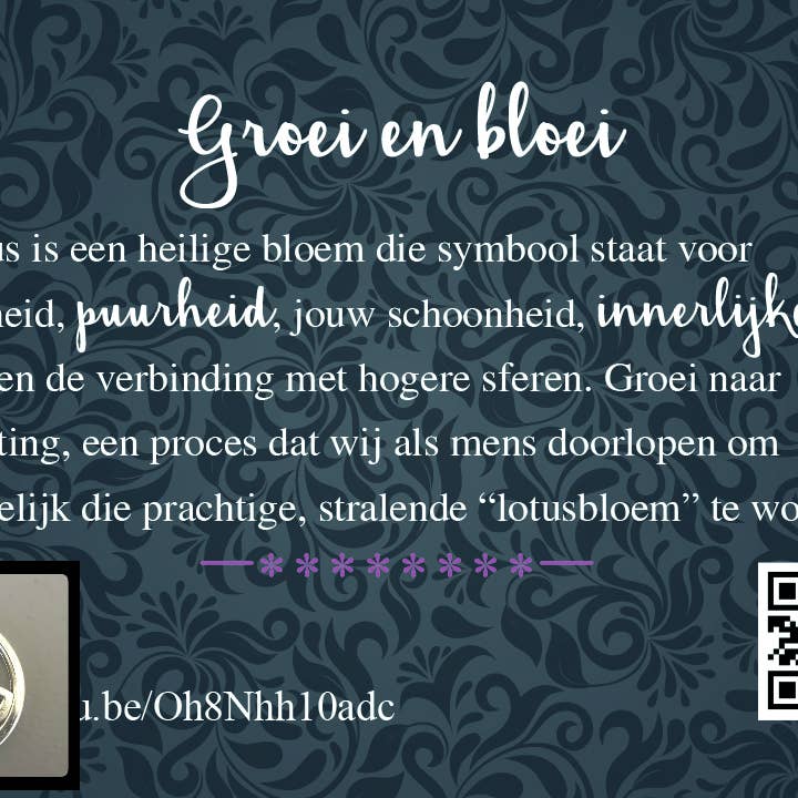 Dit Pracht - Wholesale Retailer Display - Paper & Novelty - Display with 160x gift cards including charm27