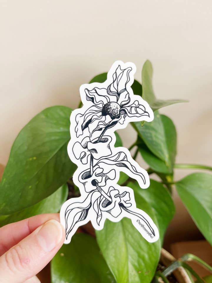 Vertebrae Flora Sticker for wholesale by OneGroovyGal