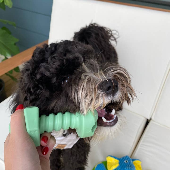 Spunky Pup - Wholesale Pet Chew Toy - Dog - The Tools - MADE IN THE USA4