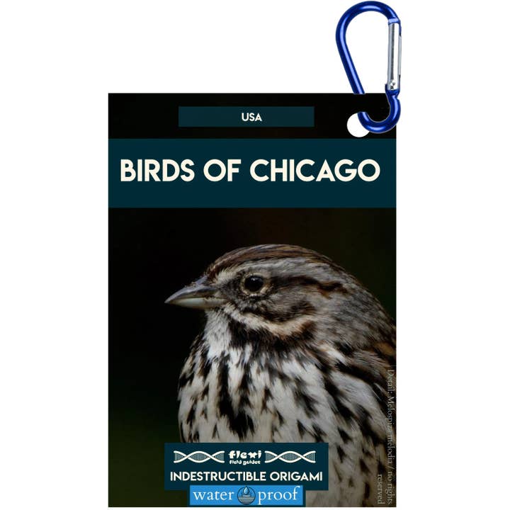 Aves de Chicago-Origami Indestructible para venta al por mayor de Flexi Field Guides
