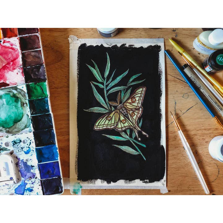 The Spanish Moon Moth | Art Print for wholesale by Raicodoll