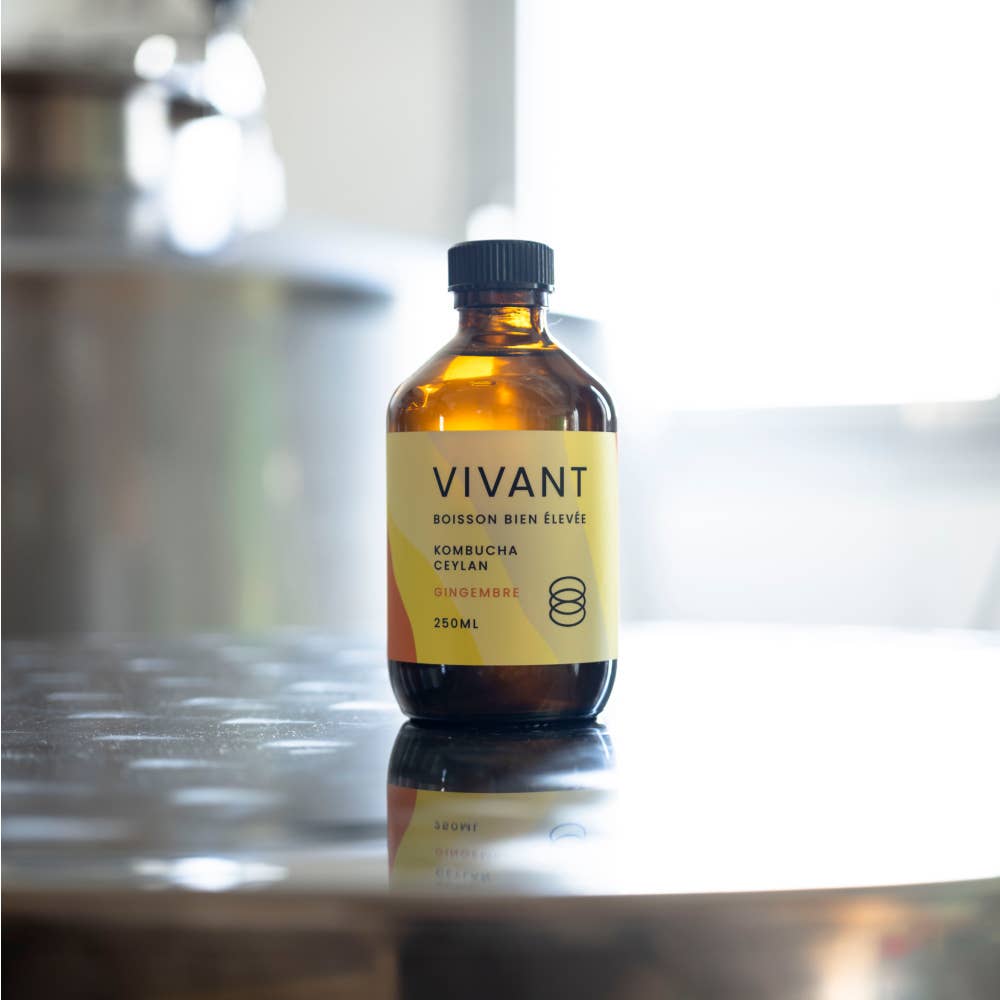 VIVANT Kombucha - Wholesale Kombucha - Organic kombucha ceylan tea, ginger - Vegan - Gluten free3