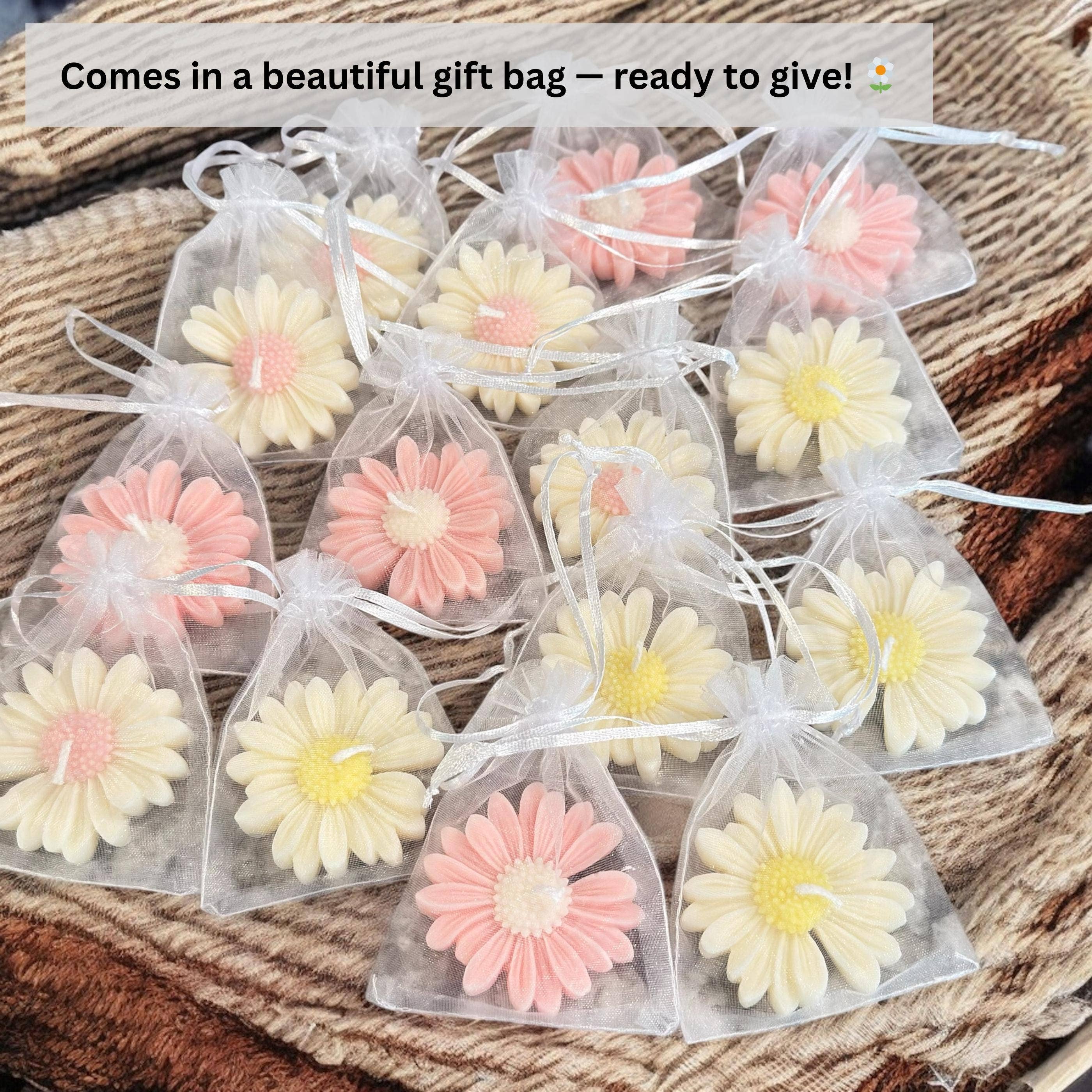 Karly’s Candles - Wholesale Party Favor - Madeliefje Sojakaars Bedankjes voor Bruiloften & Babyshowers5