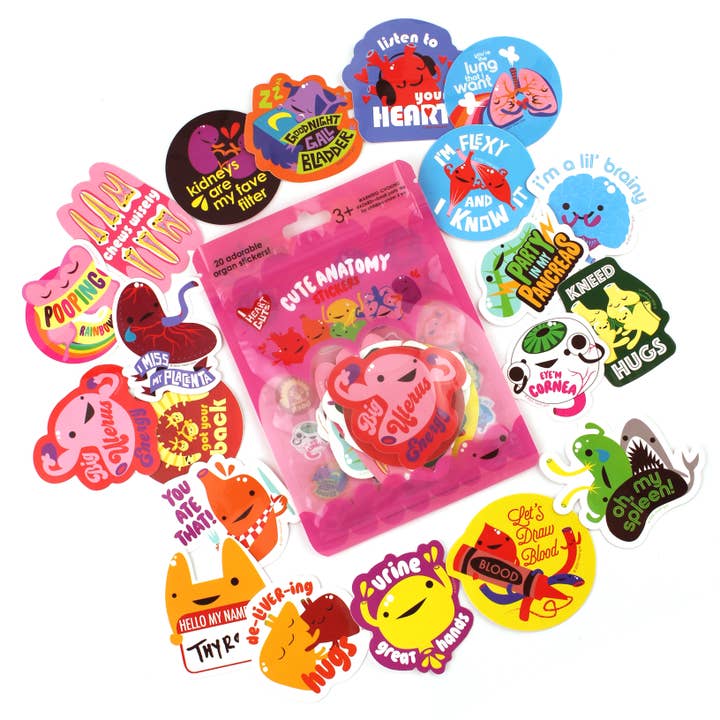 Pegatinas de Anatomía Adorable - Set de 20 Órganos Humanos de Vinilo 2,25” para venta al por mayor de I Heart Guts | Organ Plushies Wholesale