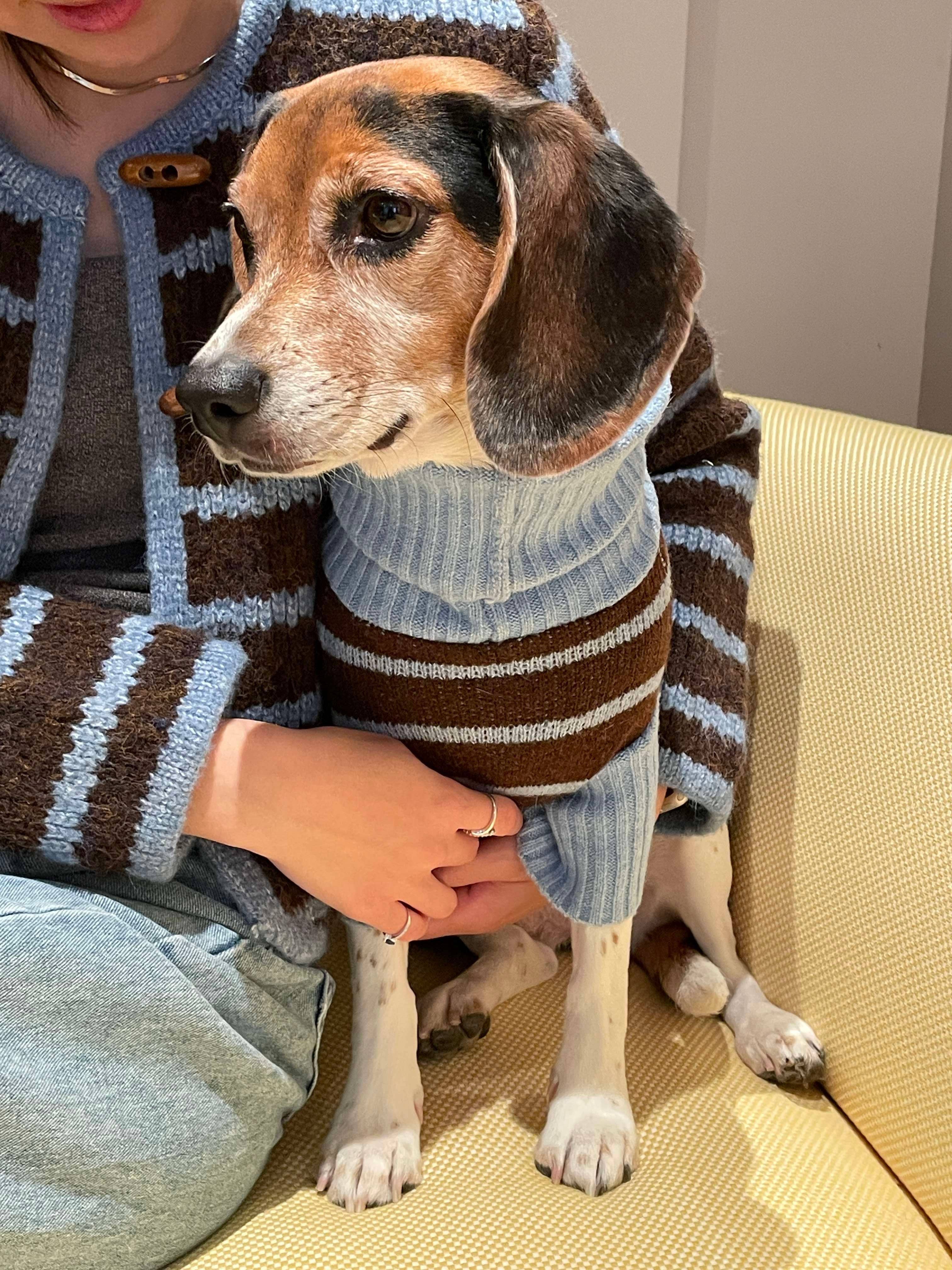 BarkBarkBaby - Wholesale Pet Sweater - Dog - Bluebell Stripes Sweater4