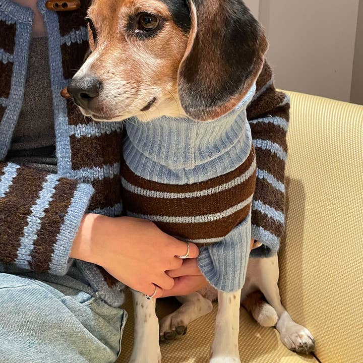 BarkBarkBaby - Wholesale Pet Sweater - Dog - Bluebell Stripes Sweater4