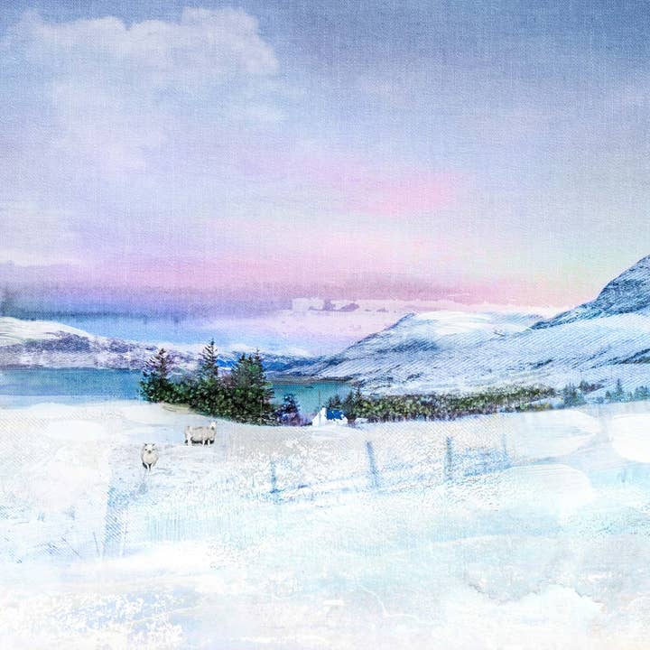 Na de Sneeuw - Highland Schotse Gesigneerde Kunstdruk voor wholesale door Carol McEwan Art