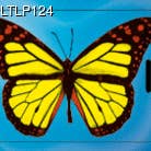 Lenticular Animation Luggage Tag, Butterfly for wholesale by ikonink